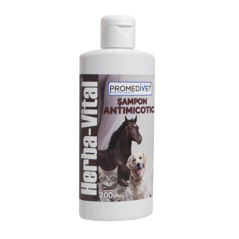 Antifungal shampoo hotsell for cats