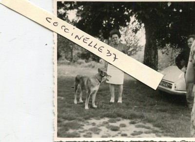 Foto unter einem Baum mit Fahrzeug DS Citroën Hund und Figuren zu identifizieren