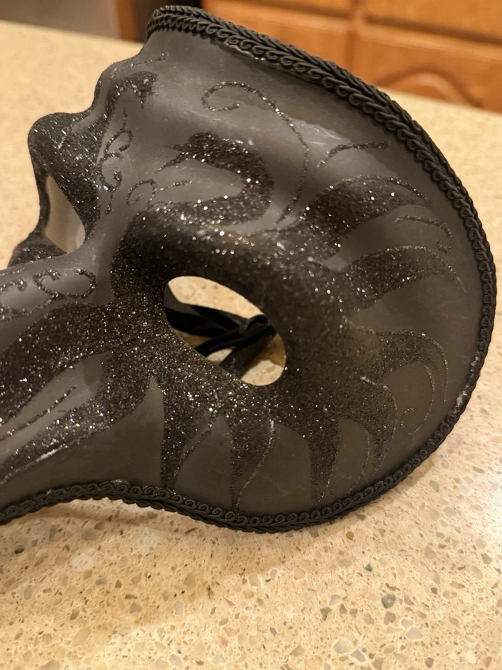 Pájaro nariz larga negro W tonal ~ Disfraz de máscara de fiesta - Usado en Excelente Condición Foto 2 de 4