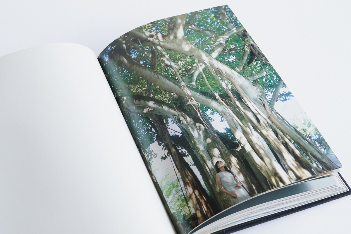 Hiromix works - アート作品集 Hiromix Works - Photo Book - Celebrity & Model Portraits
