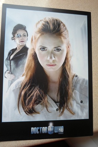 Doctor who A4 SIZE PRINT amy the girl who waited