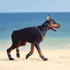 Dog Boots/Shoes for sale