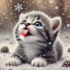 Christmas 5D Diamond Painting Kit DIY Full Drill Art Home Decoration