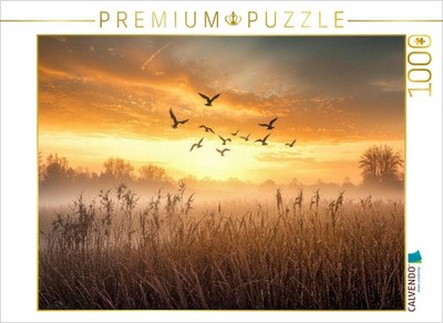 CALVENDO Puzzle Gänse ziehen im Morgenlicht über nebelverhangene Wiesen   ein fl