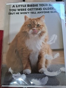 Birthday Card  Funny