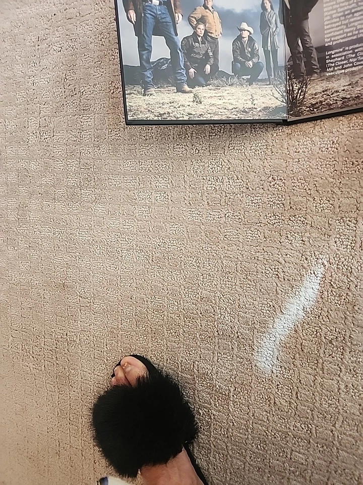 LONGMIRE The Complete First Season A&E 2013 Collectible - Image 3 of 4