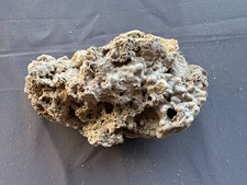 CaribSea South Sea Base Rock for Aquariums, 1.6 lbs