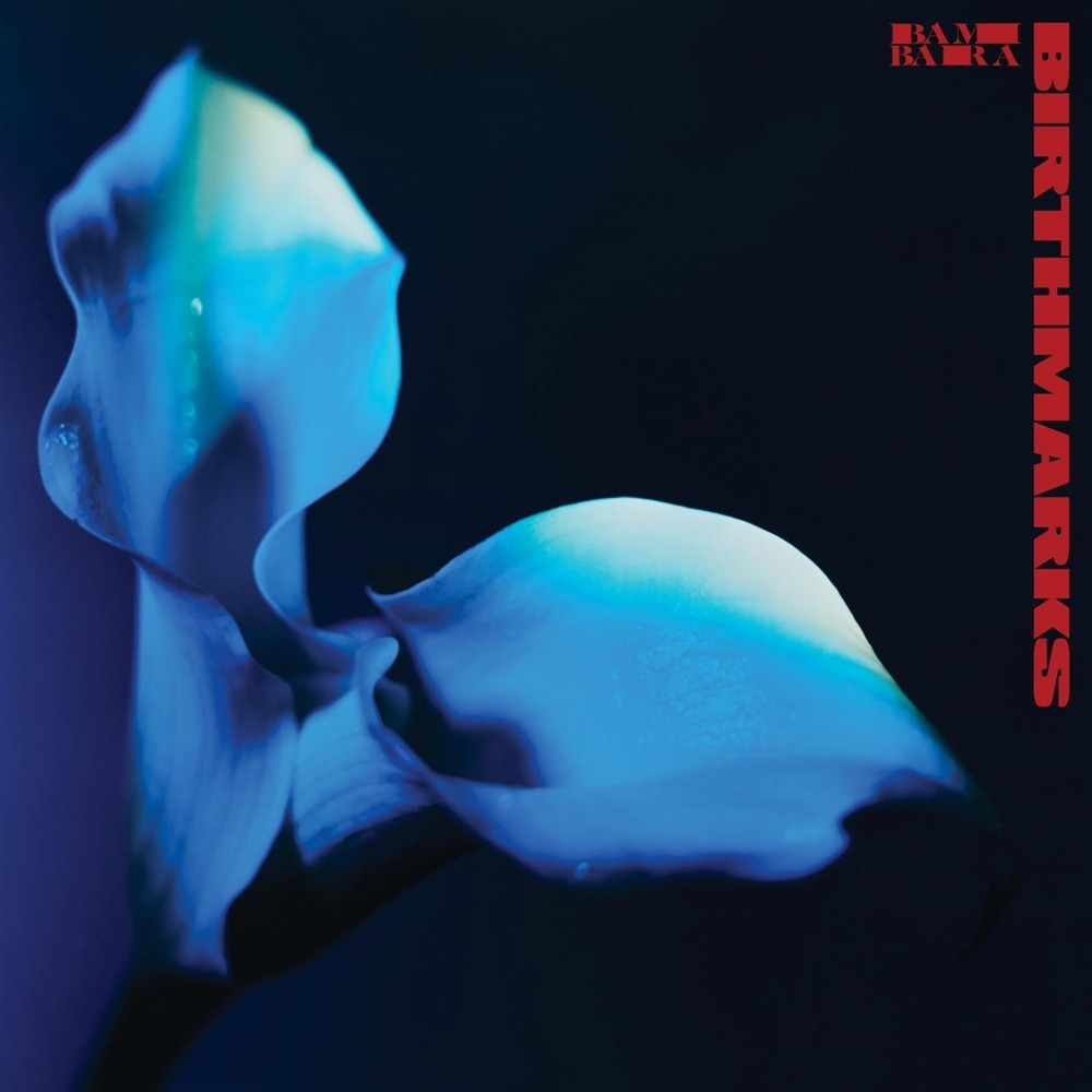 Bambara - Birthmarks - AA.VV. (Audio Cd)