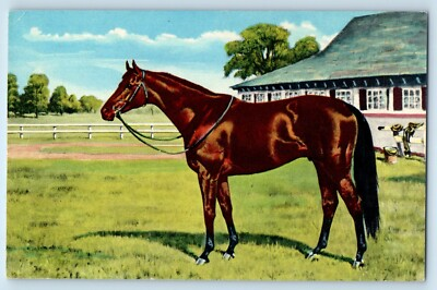 #ad c1950#x27;s Citation Greatest Race Horse Calumet Farm Lexington KY Vintage Postcard $9.72