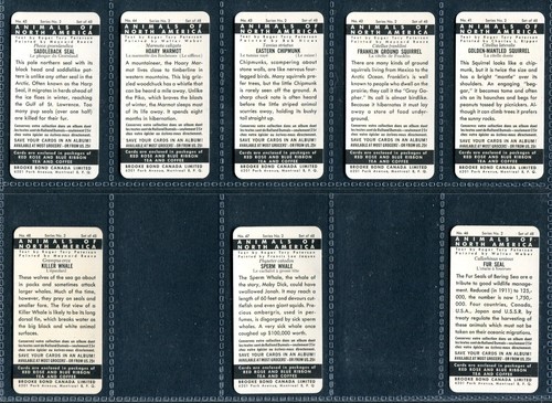 BROOKE BOND CANADA 1962 SET OF 48 "ANIMALS OF NORTH AMERICA" ROLLAND TEA CARDS - Picture 10 of 10
