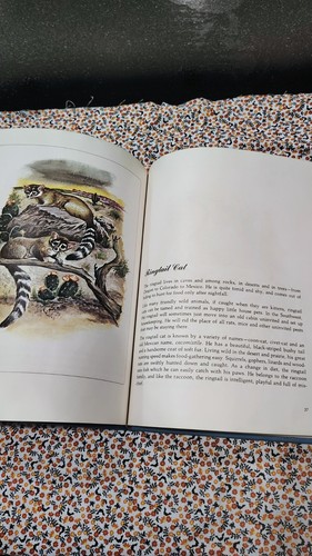 Animals of the night hardcover Tony Palazzo vintage owl cover - Foto 7 di 11