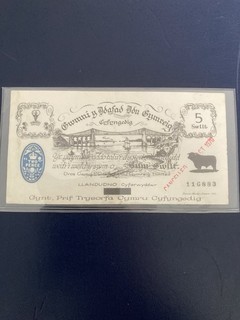 Wales Welsh Black Sheep Company 5 Punt Banknote 116883 (21)