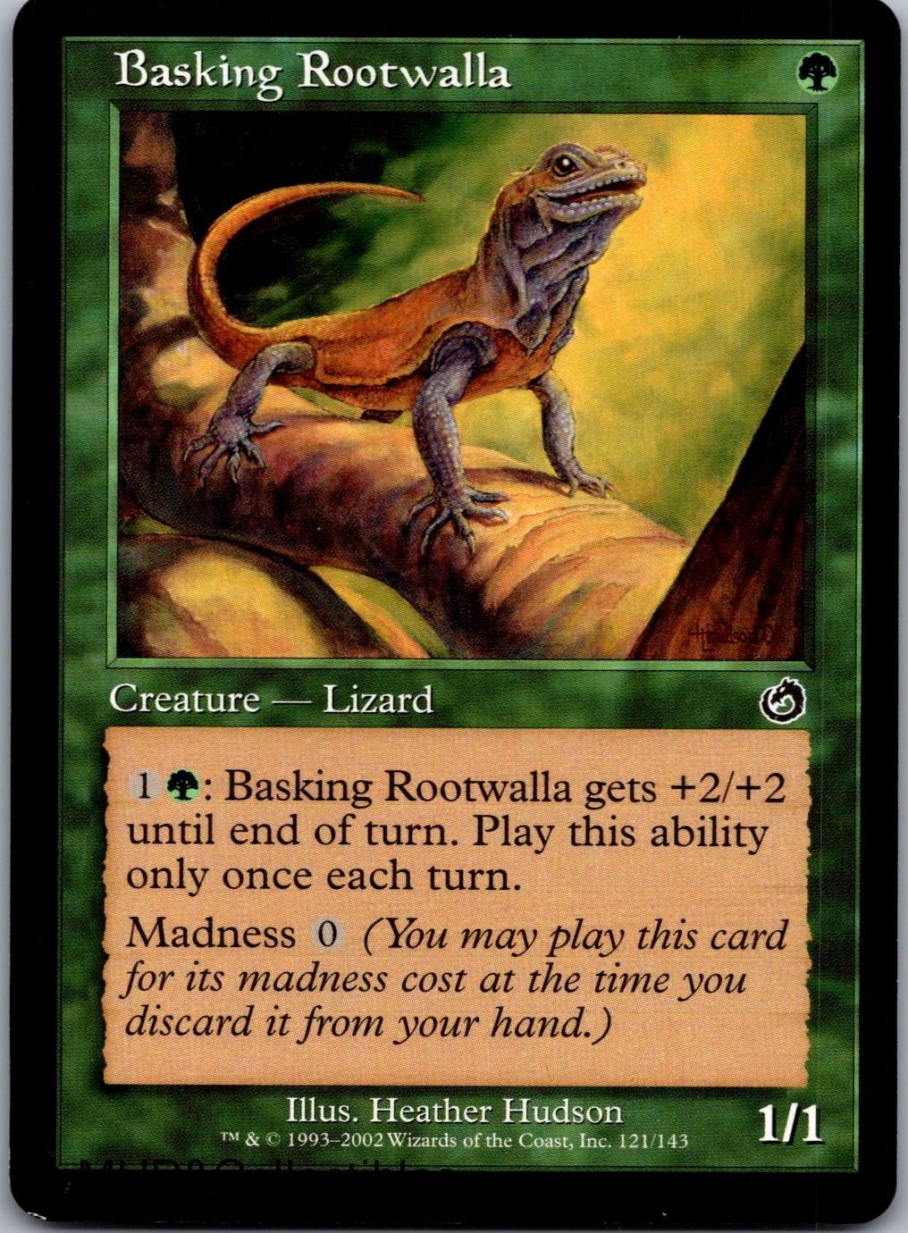 Basking Rootwalla 121 Common Torment Magic: The Gathering Lightly Played