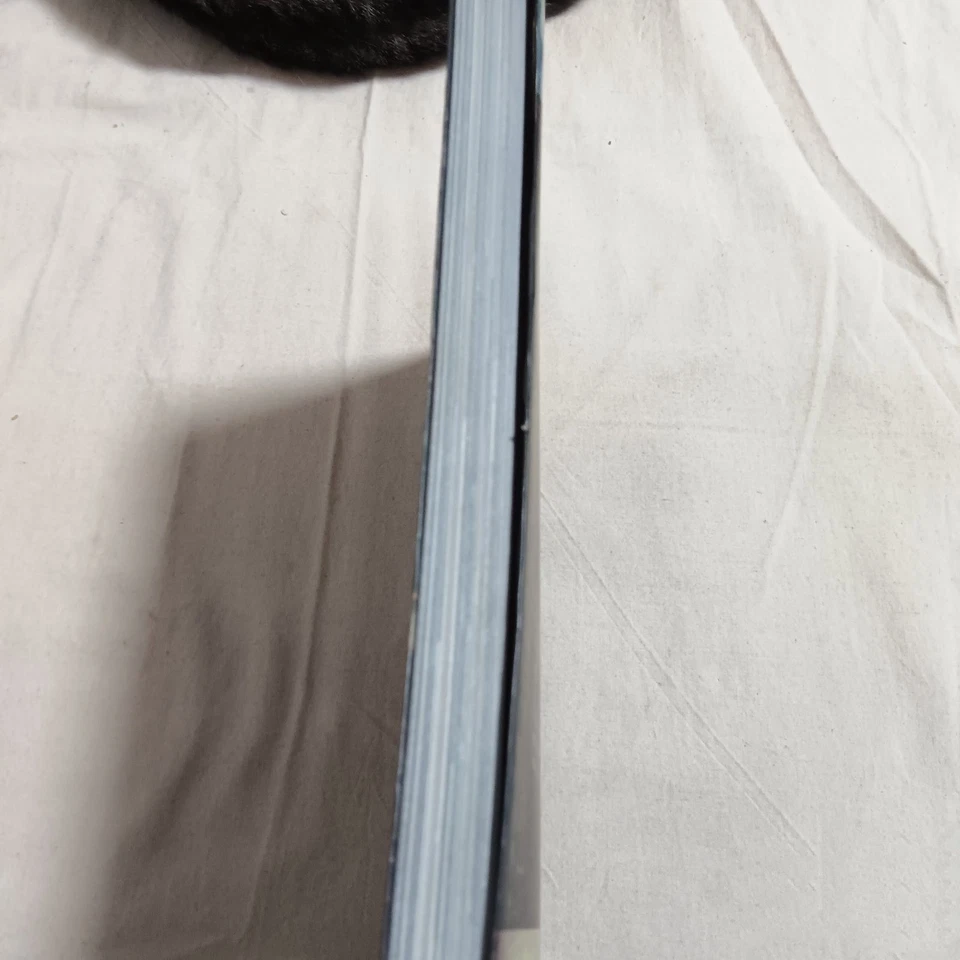 The Art of Alice Madness Returns Art Book English Edition Used English edition - Image 4 of 4