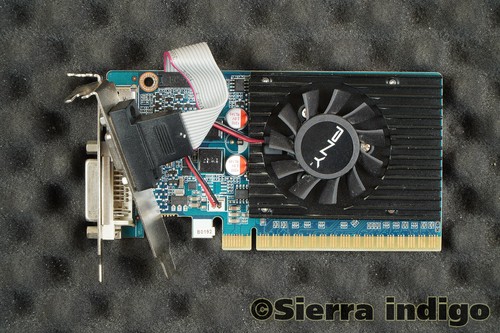 GMGT52WN2F1EH+0TM PNY GeForce GT520 Low Profile Graphics Card HDMI DVI ...