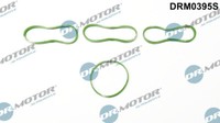 Dr.Motor Automotive DRM0395S Dichtungssatz FüR Ford AnsaugkrüMmer