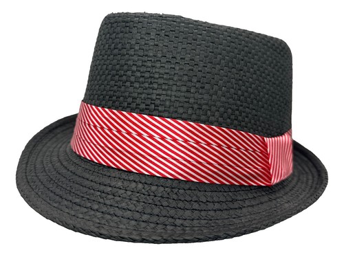 KENNY K Hat Black Fedora Embroidered Skull Pinstripes Mens  display picture 1