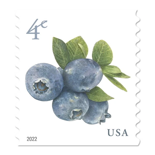 US 5652 Blueberries 4c (2022) - 50 Postage Stamps, Single Strip from Coil MNH - Image 2 of 3