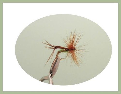 Boxed Daddy & Hoppers Trout Flies ,40 Per Box, Mixed Sizes, Fly Fishing - Picture 4 of 12