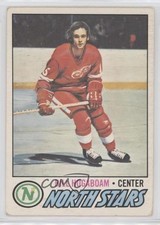 1977-78 O-Pee-Chee Bill Hogaboam #148 t4m