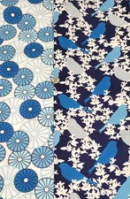 4 yards Total (2 of each pictured) - Coordinating - Michael Miller "Seedling"