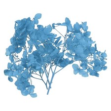 10g Mini Dried Hydrangea Flower Natural Pressed Flower Real Hydrangeas Blue