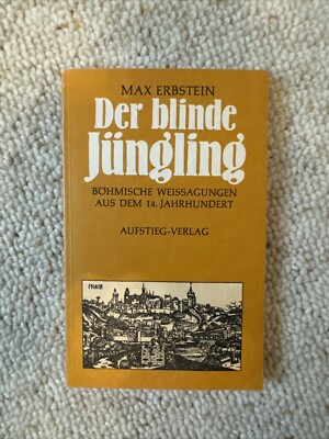 Der blinde Jüngling - Max Erbstein