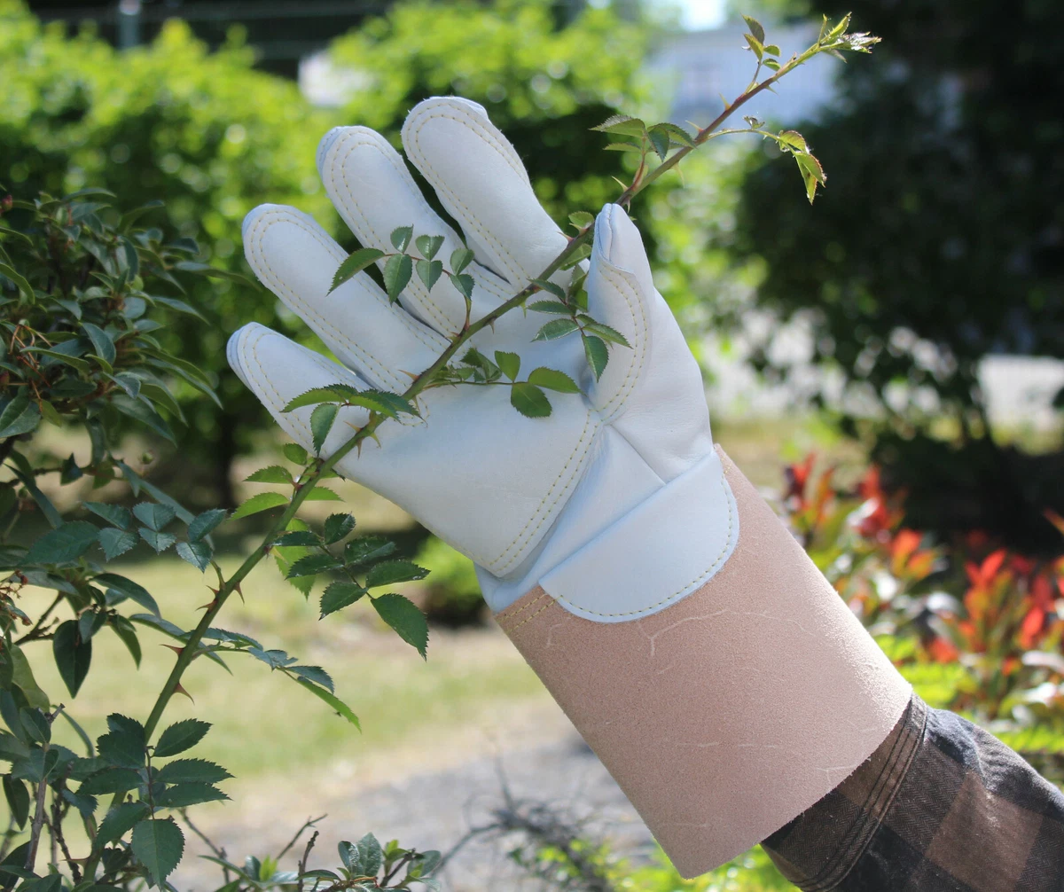 Stocker Guanti Da Giardino Con Palmo In Vera Pelle: Taglia XL, Robusto E Comodo - 4