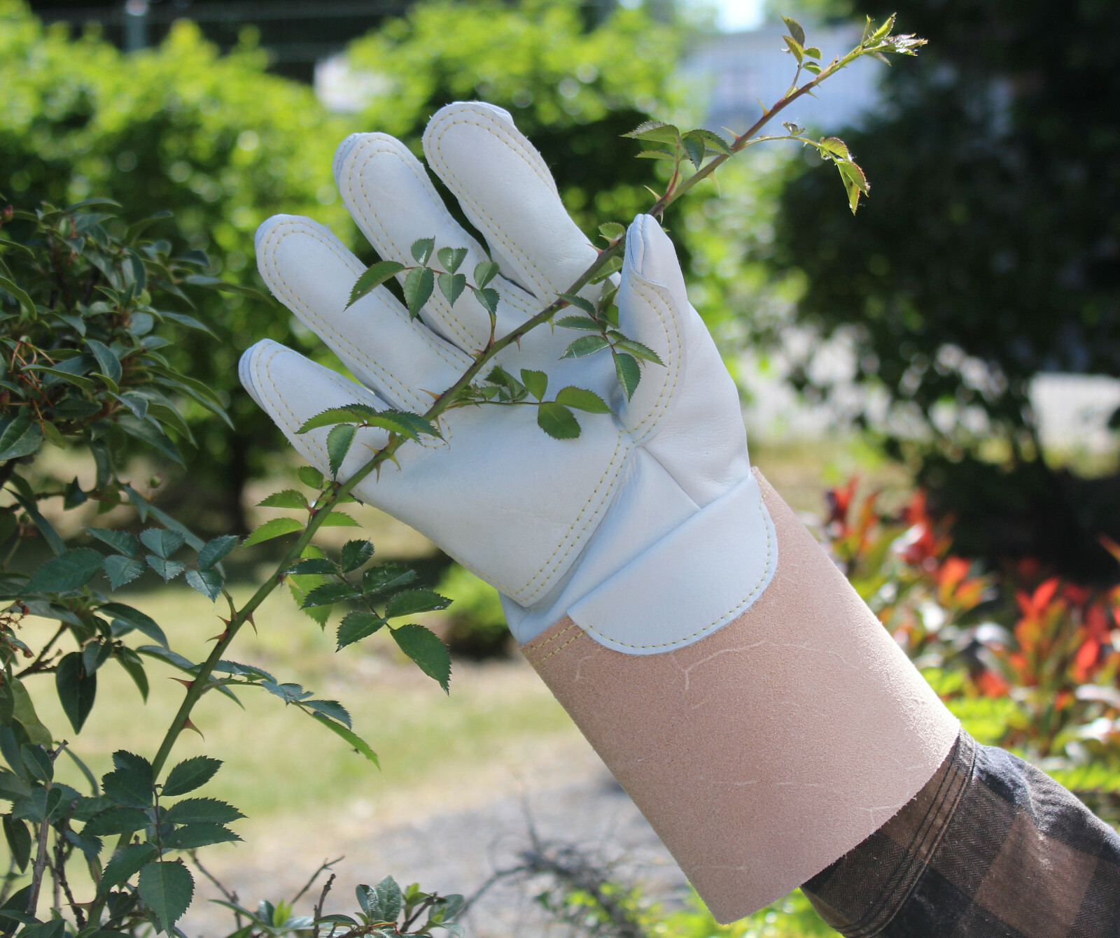 2,5mm Fuerte Hasta 3,5mm Extra Dornenhandschuhe, Guantes Rosas Cuero Genuino