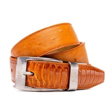 Alessio Genuine Ostrich  Ostrich Leg Exotic Belt Cognac