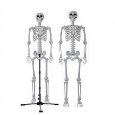 7.9FT Giant Halloween Skeleton - 240cm Life Size Full Body Realistic Bones wi...