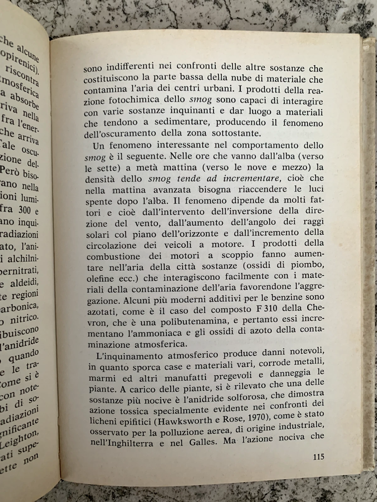 Foto 4 di 4