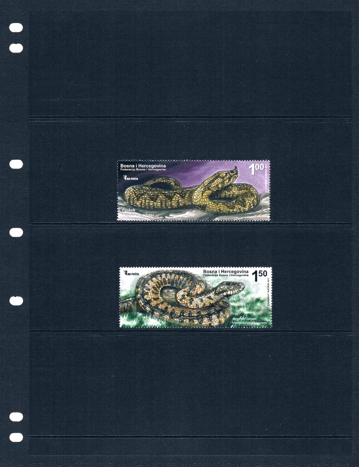Valor Scott de $4,00 - 2012 Bosnia Serpientes Vida Silvestre de Europa del Este CV MNH NH UM Foto 2 de 4