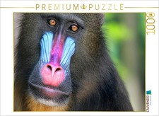 CALVENDO Puzzle MANDRILL 1000 Teile Puzzle quer 1000 Teile Lege-Gr e 64x48cm
