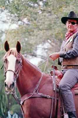 John Wayne zu Pferd als Hahn Cogburn in True Grit