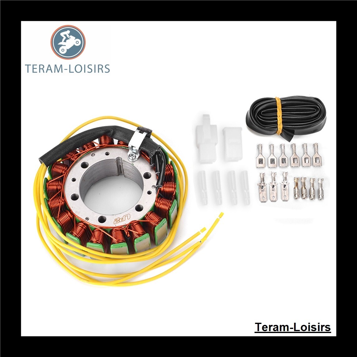 Stator d'allumage pour Honda Shadow 1100 bobinage renforcé haute résistance
