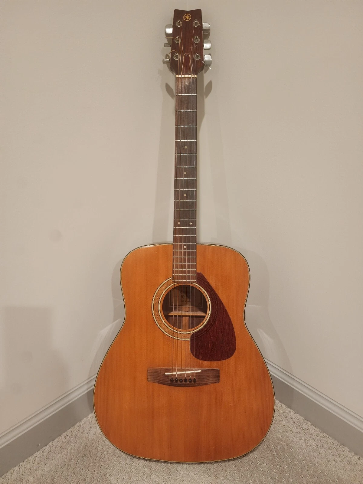 Picture 1 of 20
