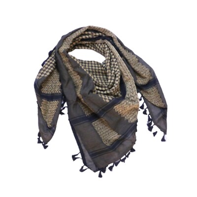 lv palestine scarf
