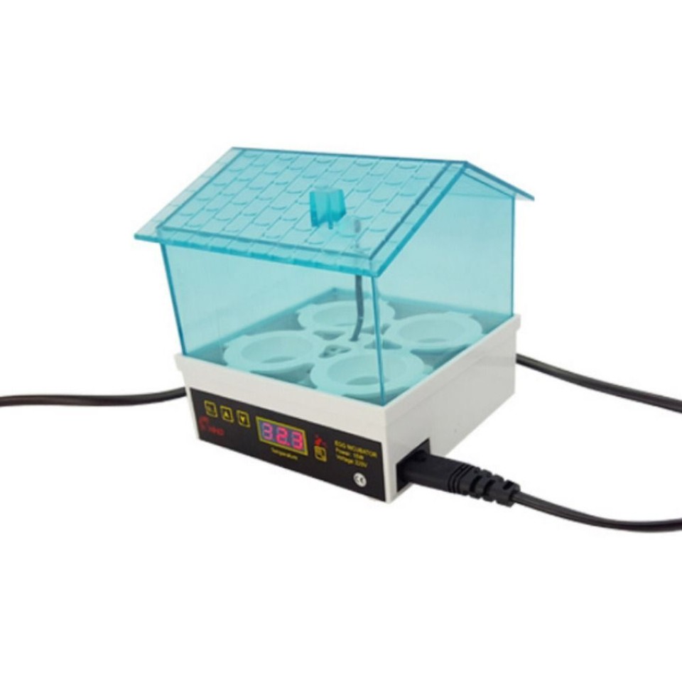 Electric 4 Eggs Mini Incubator Poultry Incubator For Chicken Duck Bird
