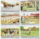 S 1520 LIEBIG SPORT IN THE WORLD BASEBALL TED WILLIAMS RED SOX (ITA) MF113765