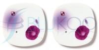 Nippon Kodo Yume No Yume RäUcherstäBchenhalter Morning Glory - 1 StüCk (2Er...