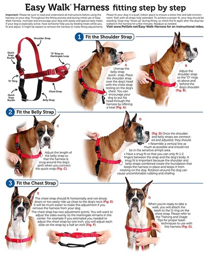 PetSafe Dog Nylon EASY WALK HARNESS Reduce Pulling Large Purple/Black - Picture 2 of 3