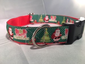 dog collar aus