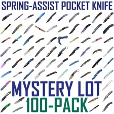 100-Pack Mystery Spring-Assist Folding Pocket Knife Lot – Random EDC Blades NEW