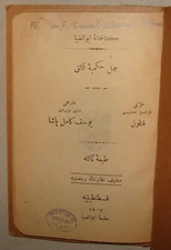 Ottoman Turkey Arab Arabic Constantinople Book Yusuf Kamil Pasha 1930s