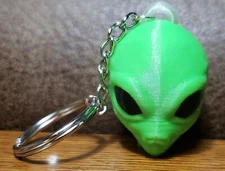 Green Sci Fi Space Alien Head 3D Keychain Transparent Holder on Top with Chain