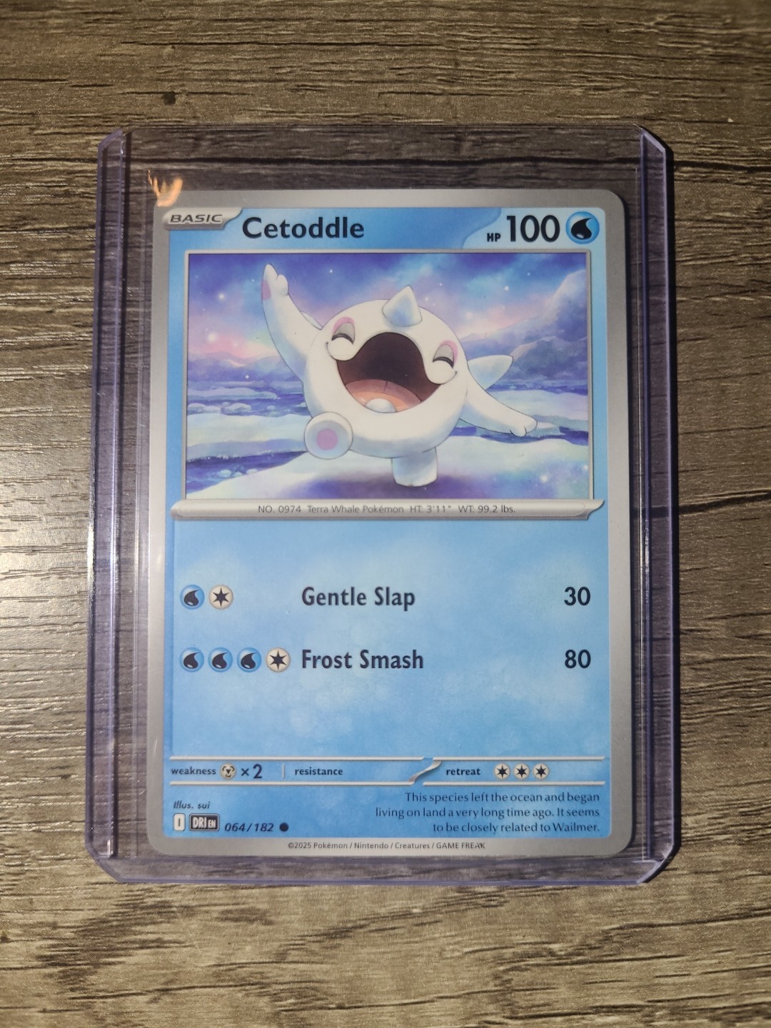 Pokemon TCG Card - Cetoddle 64/182 | Common | 2025 Destined Rivals Regular