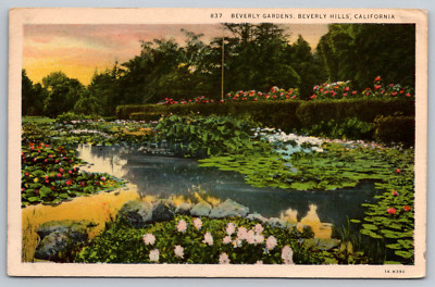 c1940s Beverly Gardens Beverly Hills California Postcard
