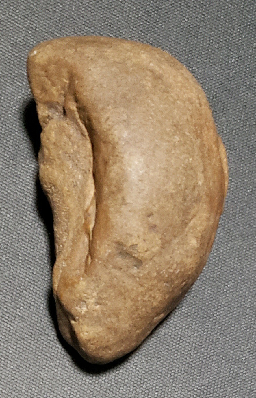 Native American Paleo MultiTool Effigy Indian Artifact eBay