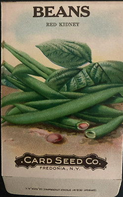 1908 Beans '' Red Kidney'' Seed Packet - Card Seed Co. Fredonia, N.Y. ''NOS''